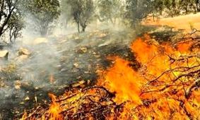 آتش‌سوزی در جنگل‌های چهاردانگه و نکا