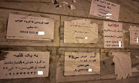  فروش دلاری «کلیه» ایرانی‌ها با سفر به ترکیه و عراق!/ مصاحبه با خانمی که کلیه اش را فروخته است