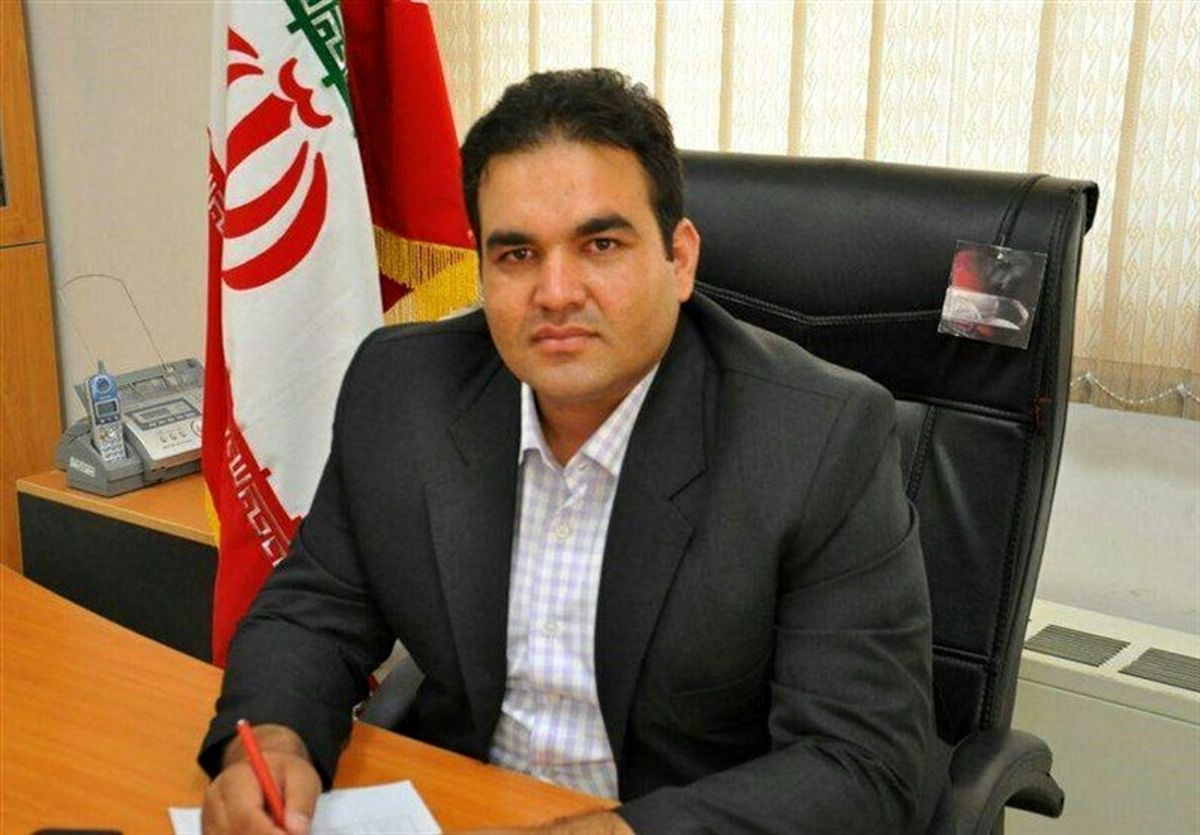 برخورد قاطع دادستانی با عاملان قطع درختان ‌کمربندی اسلامشهر ـ رباط‌کریم‌