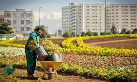 طرح همیار سبز در مدارس مرکز مازندران اجرا می‌شود