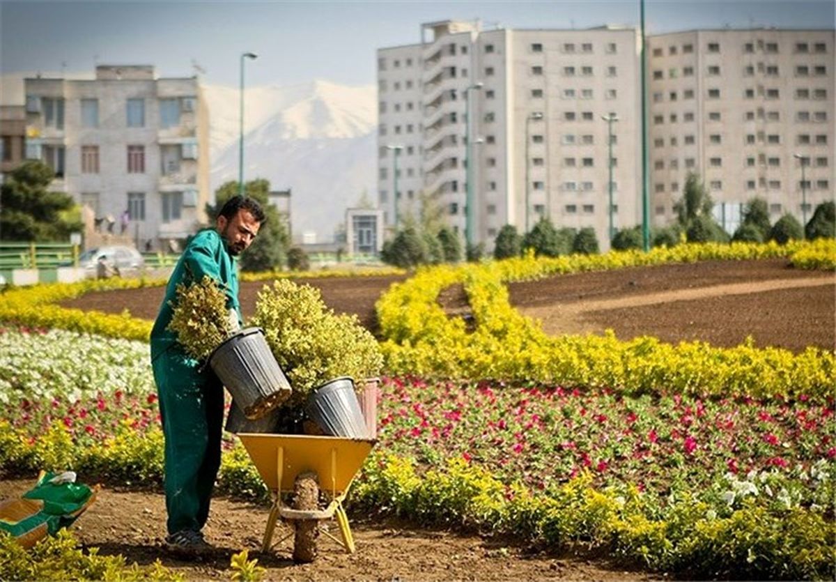 طرح همیار سبز در مدارس مرکز مازندران اجرا می‌شود
