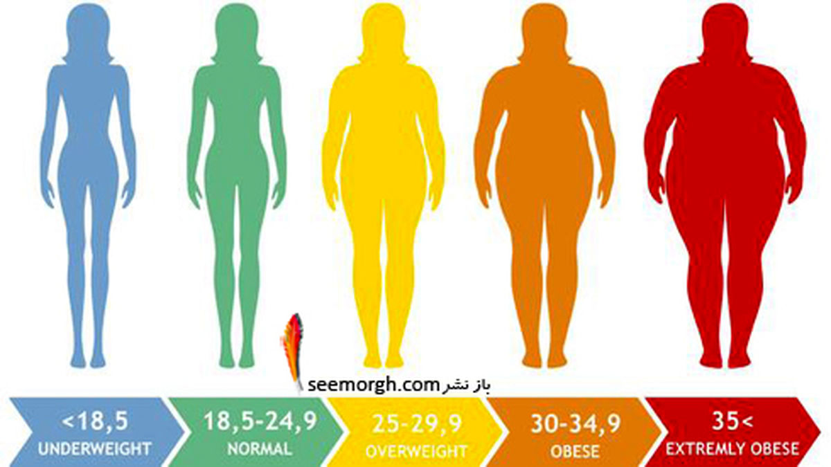 چه شاخص توده بدنی برای زن ها مناسب و نشانه سلامتی است؟