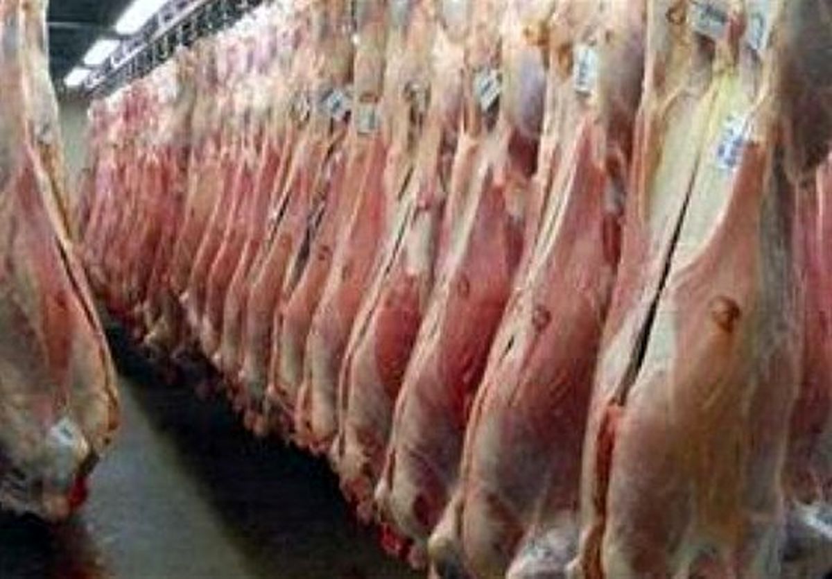 چرا گوشت ارزان نمی‌شود؟