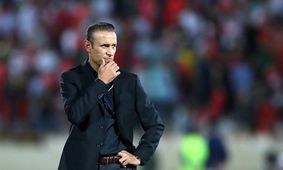 گل محمدی گزینه قطعی هیات مدیره برای پرسپولیس