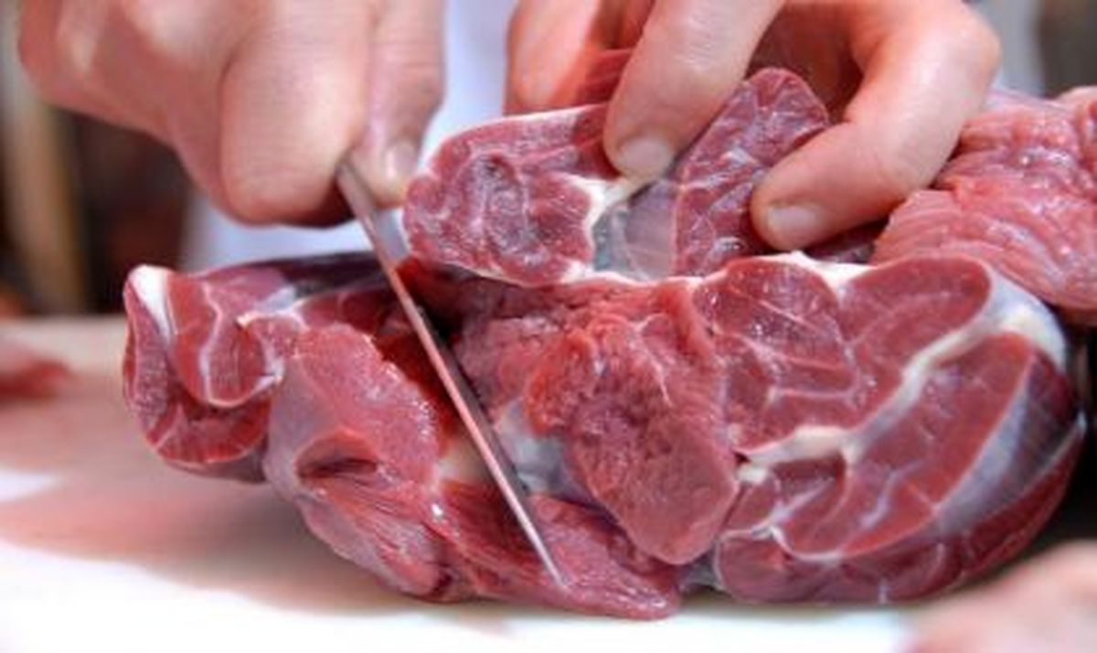 گوشت تازه گوساله واداتی کیلویی چند؟