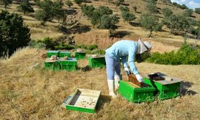 کلنگ ایجاد ۱۲۰۰ طرح اشتغال‌زایی بنیاد برکت در آذربایجان غربی بر زمین زده شد