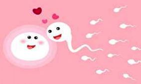 استفاده از کیت تخمک‌گذاری برای دختردار شدن