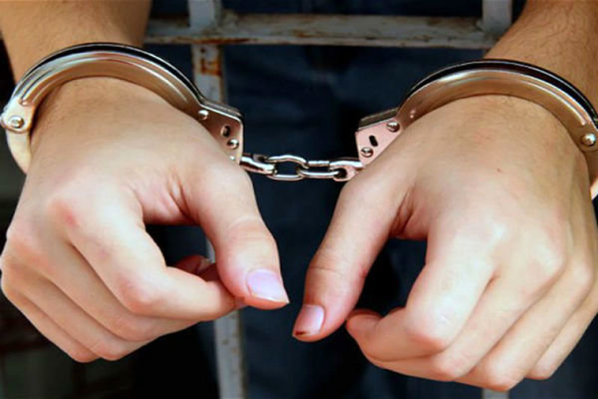 بازداشت مدیر عامل شرکت پشتیبانی امور دام