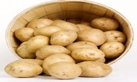 غذاهایی که سلامتی مردان را تضمین می کند