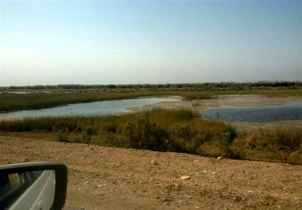 استاندار خوزستان: حق‌آبه هورالعظیم از آب کرخه تامین می‌شود