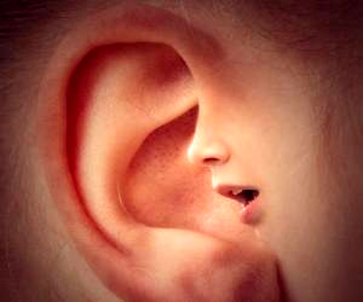 شخصیت‌شناسی از روی فرم گوش