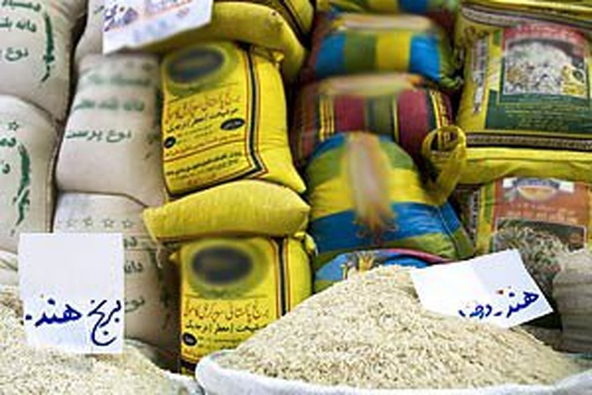 ارز تخصیص نگیرد، برنج‌های وارداتی را مرجوع یا صادر می‌کنیم