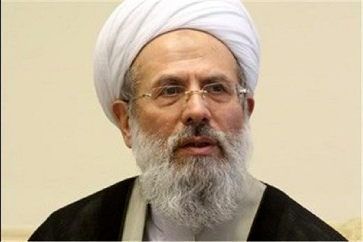 انتقاد عضو مجلس خبرگان از لیس زدن ضریح ائمه از سوی برخی افراطیون /اگر کمک نمی‌کنید لااقل ضربه نزنید
