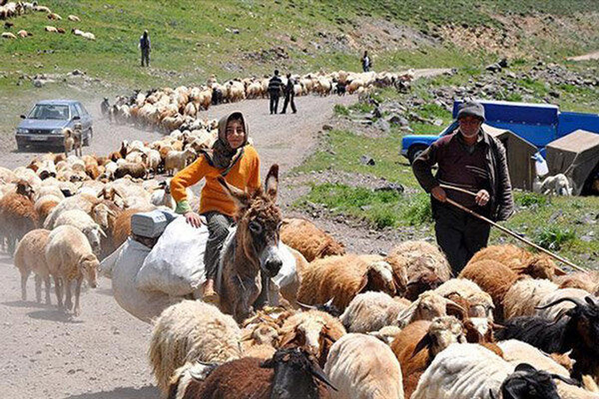 دامداران آذربایجان شرقی دام‌های خود را تا گرم شدن هوا وارد مرتع نکنند