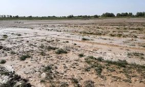خسارت ۵۰ میلیارد ریالی طوفان و سیل اردیبهشت به بخش کشاورزی