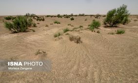 تاثیر منفی گسترش بیابان‌ها بر امنیت غذایی
