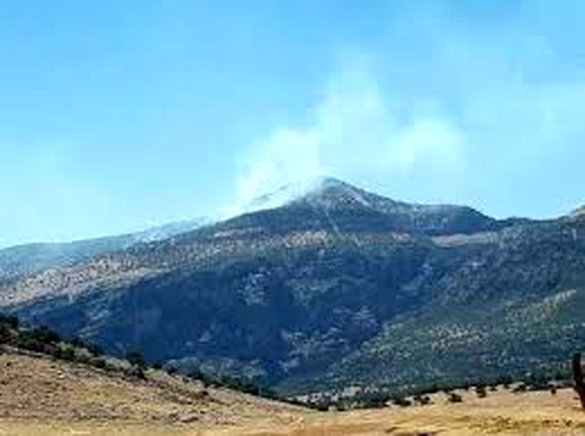 آتش‌سوزی در کوه دلای اندیکا