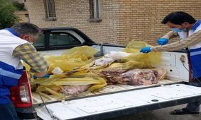 معدوم سازی بیش از ۱۳٠٠ کیلوگرم گوشت در ماکو
