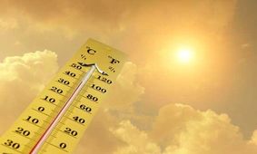 شرجی نرفته، برگشت