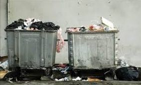 ماجرای جسد سلاخی شده در گاریِ زباله