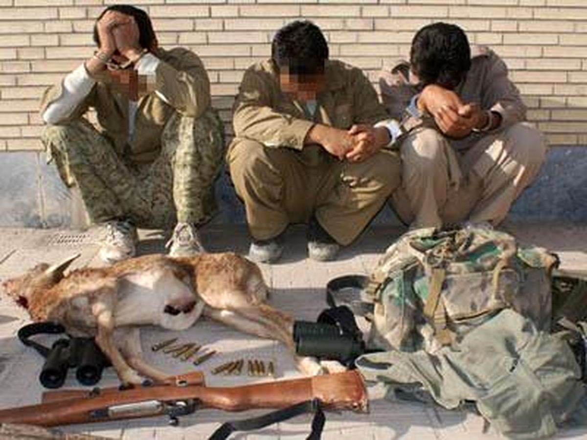 دستگیری ۱۶ شکارچی متخلف در نیمه اول شهریورماه در اقلید