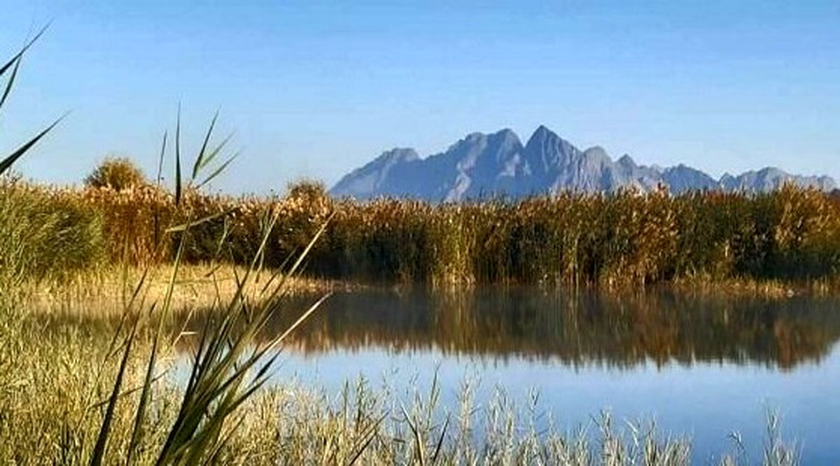 چهارمین مرحله از حقابه وارد تالاب بین‌المللی هامون شد