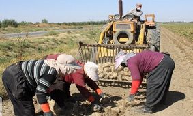 آذربایجان‌غربی شیرین‌ترین استان کشور