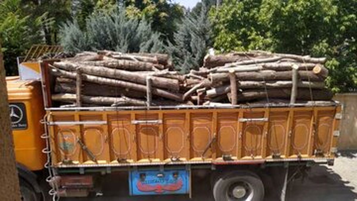 توقیف محموله چوب قاچاق در گتوند