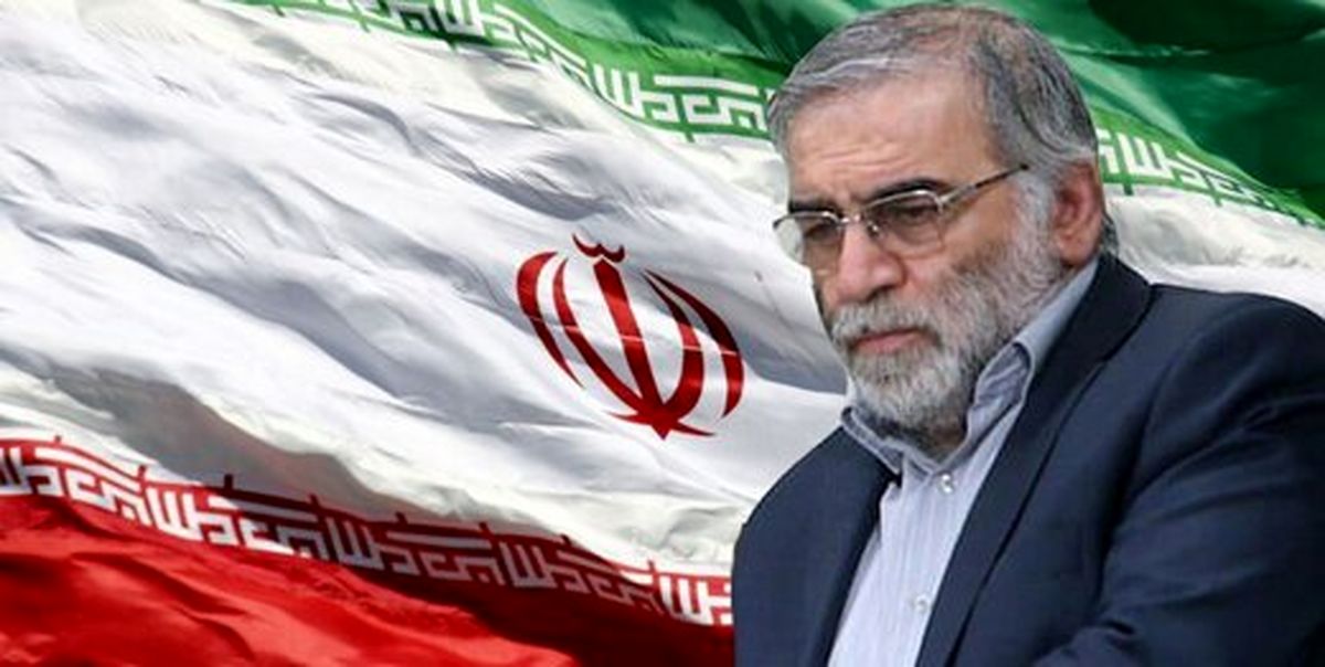 شهید محسن فخری زاده که بود؟/ اینفوگرافی