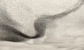 عکس‌هایی زیبا از پرواز سارها