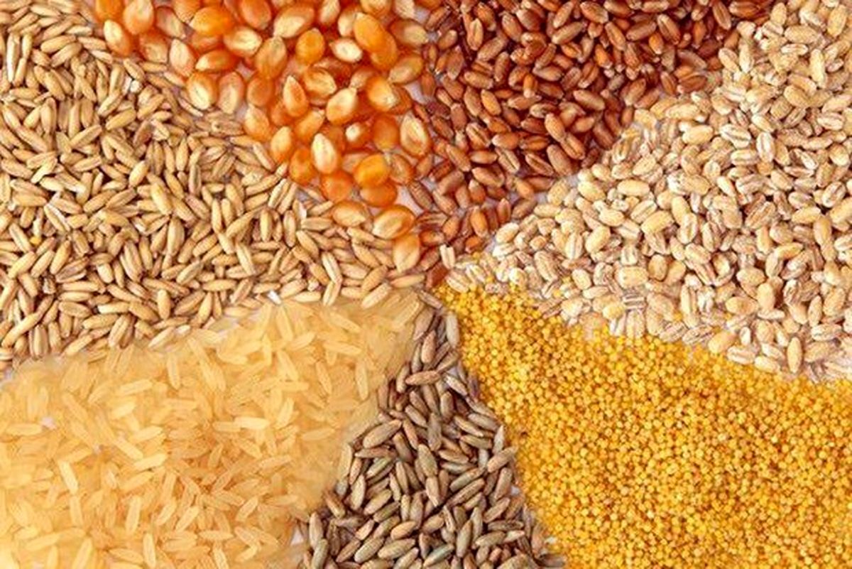 مدیرعامل بزرگترین شرکت تولید خوراک دام و طیور شمال دستگیر شد