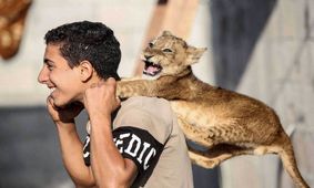 نگهداری یک نانوا از ۲ توله شیر چند روزه!/ عکس