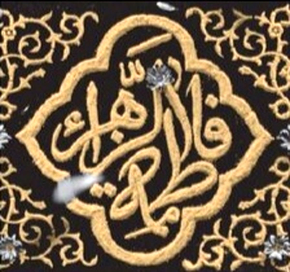 یک رهبر به تمام معنا/ عکس