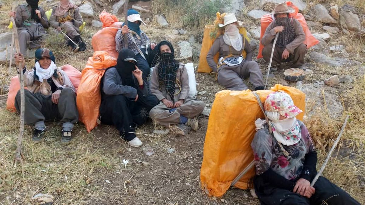 زنان کولبر صاحب شغل می‌شوند