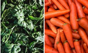رژیم غذایی برای کاهش سرطان پوست