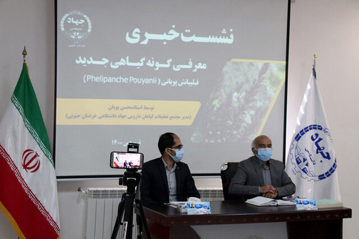 کشف گونه گیاهی جدید با نام علمی «فیلیپانش پویانی»