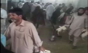 پلیس فتا: عامل انتشار کلیپ حمله به مرغداری نیکشهر به اتهام تشویش اذهان عمومی دستگیر شد