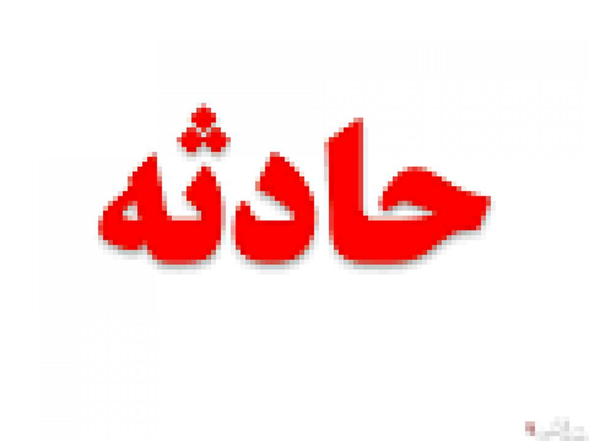 سارقی که بین نرده‌ها به دام افتاد