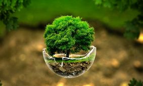 زمین سیاره‌ای که طبیعت آن رو به فراموشی است