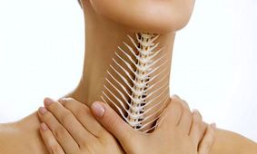 چگونه تیغ ماهی را از گلو بیرون بیاوریم؟