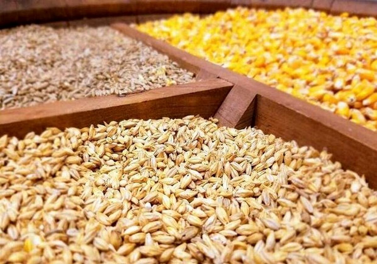وضع تامین نهاده های دامی نامطلوب است