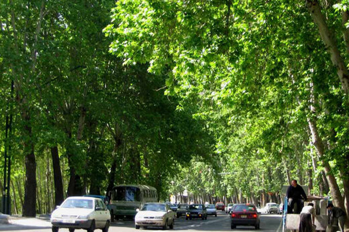 زیباترین خیابان های جهان؛ شگفتی و آرامش را به چشم خود ببینید