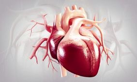 چربی قلب و افزایش خطر مرگ زودرس، حتی در لاغرها