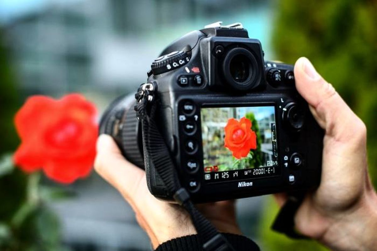 چطور حرفه ای عکس دیجیتال بگیریم؟