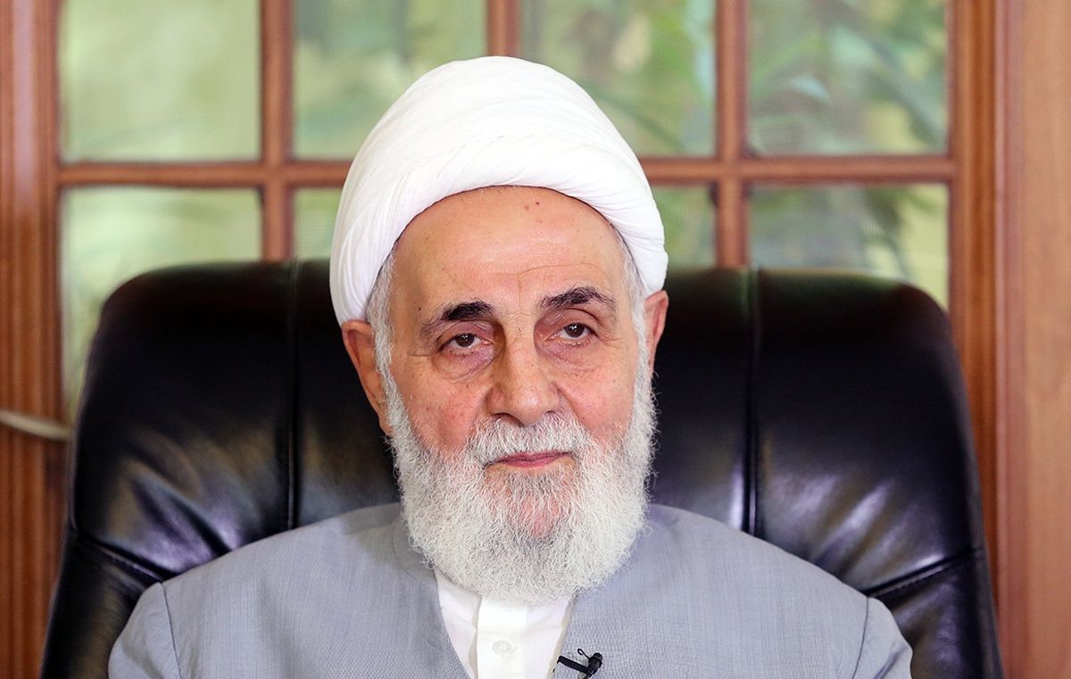 ناطق نوری: دموکراسی را به کشورمان آورده ایم ولی ابزارش را نداریم؛ ابزارش حزب است