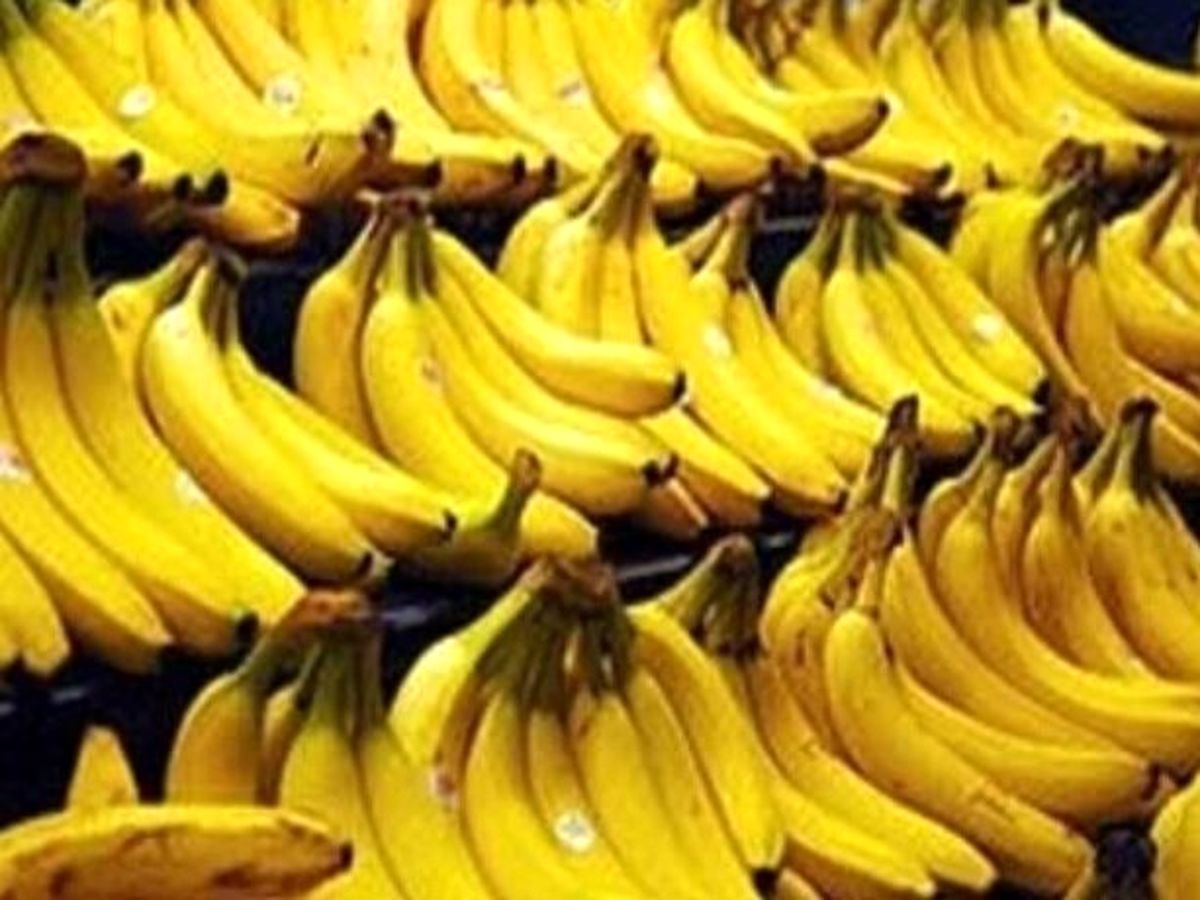 درخواست گمرک ایران از وزارت جهاد کشاوردی؛ تکلیف واردات موز را فورا مشخص کنید