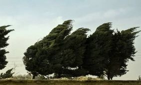 وزش باد و گرد و خاک در مرز شرقی خراسان جنوبی شدت می‌گیرد