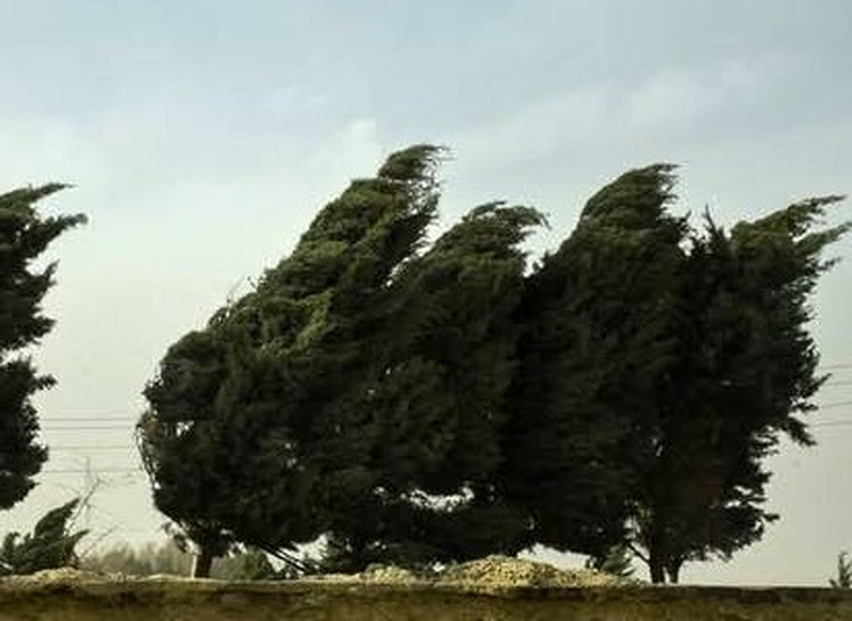 وزش باد و گرد و خاک در مرز شرقی خراسان جنوبی شدت می‌گیرد