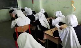 طالبان آموزش مختلط در دانشگاه‌های هرات را ممنوع کرد/ ملا فرید: این اختلاط ریشه تمامی بدی‌ها در جامعه است