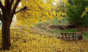 عاشقانه ترین جای دنیا